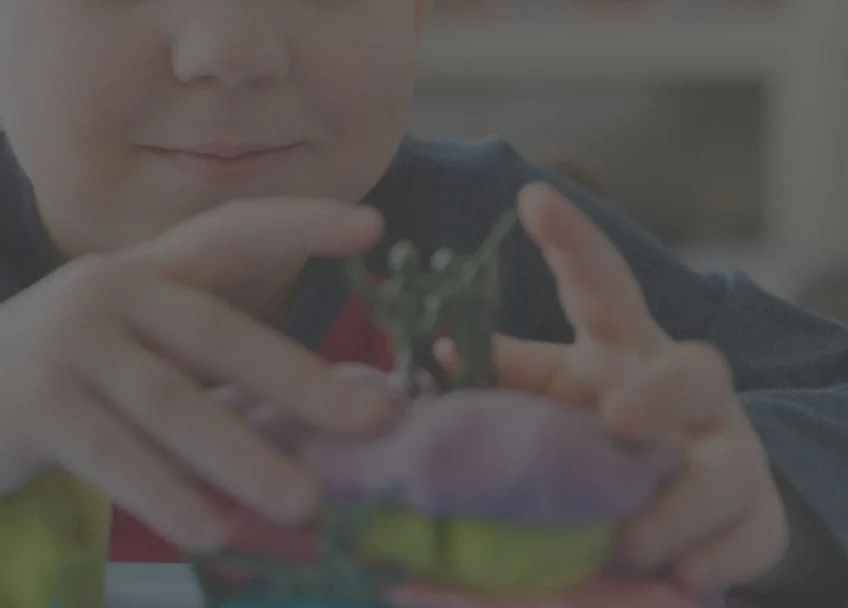 sensory-toys Sensory Toys