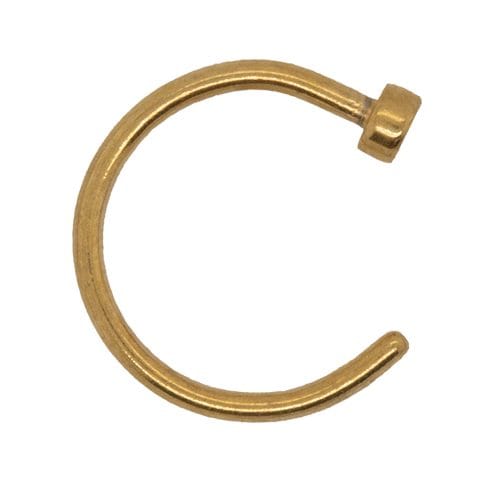 PYGMY BODY HOOPS DISC GP 20G 10MM