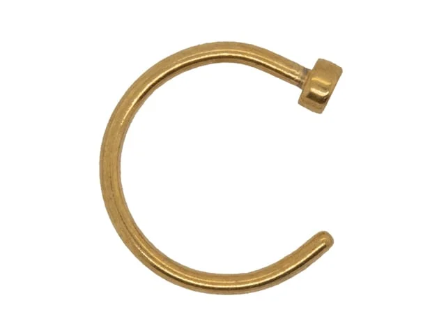PYGMY BODY HOOPS DISC GP 20G 10MM
