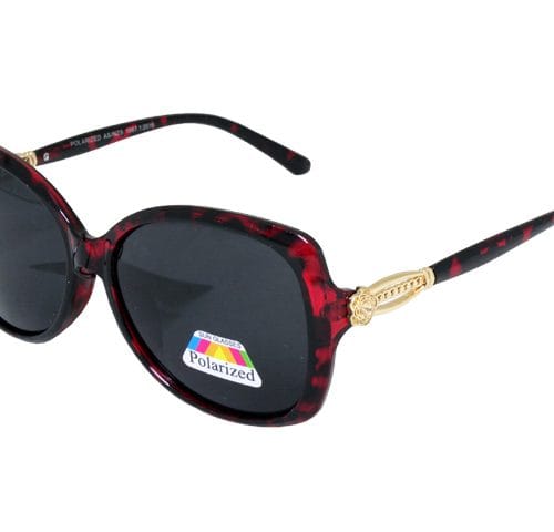 SUNGLASSES POLARIZED (C)