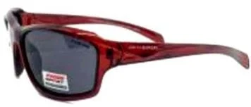 SUNGLASSES POLARIZED (C)